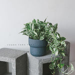 "RP127" Silicone planter mold