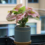 "Patrio" flowerpot silicone mold - madmolds -