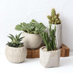 Small plant planter molds - madmolds -