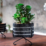 Striped flowerpot silicone mold